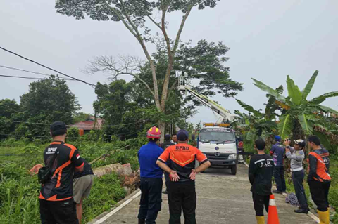 Cuaca ekstrem yang melanda wilayah Kelurahan Nenang, Kecamatan Penajam, Kabupaten Penajam Paser Utara (PPU), pada Rabu (19/3/2025) sore