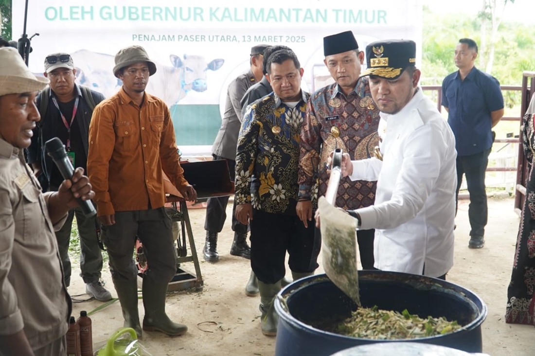 Kaltim Optimalkan Peternakan Sapi, Targetkan 70 Persen Produksi Lokal