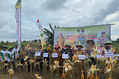 Pemerintah Kabupaten Penajam Paser Utara (PPU) bersama Polres PPU menyelenggarakan kegiatan panen raya jagung di Desa Girimukti, Kecamatan Penajam