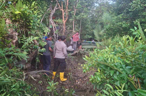 Seorang remaja laki-laki asal Kelurahan Sotek, Kecamatan Penajam, Kabupaten Penajam Paser Utara (PPU), dilaporkan meninggal dunia setelah diserang buaya